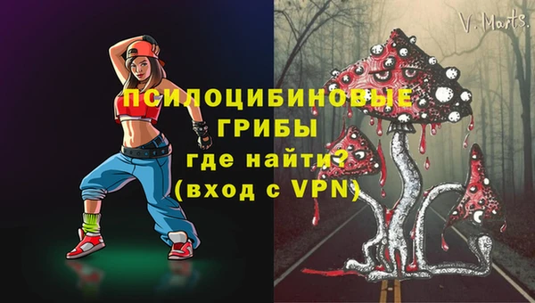 метадон Горняк